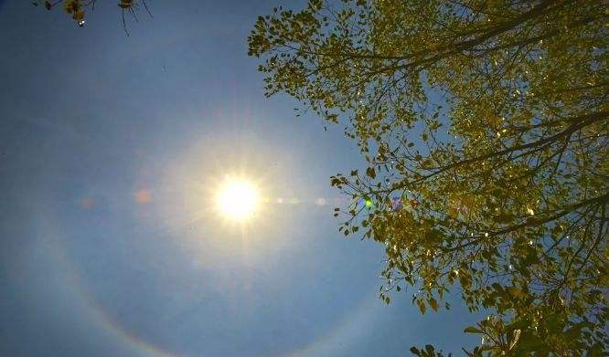 人生就是博-尊龙凯时中国官网